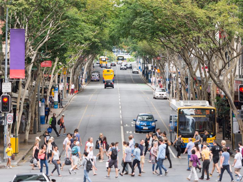 Tree-Lined Brisbane Street